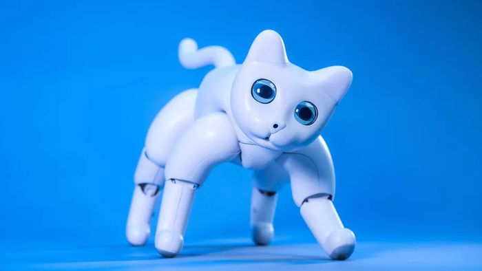 Marscat Empresa De Robotica Cria Gato Robo Para Fazer Companhia